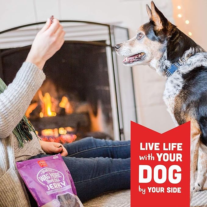 Cloud Star Wag More Bark Less Grain Free Jerky Dog Treat, Meat Treats Made in The USA, Duck & Apple 20 oz.