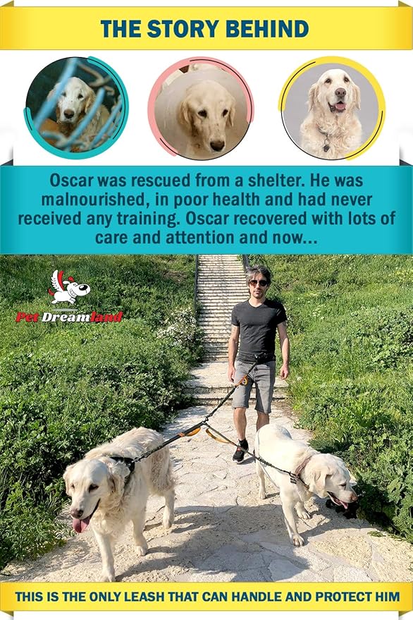 Exquisite Two Dog Leash Splitter | Double Dog Leash for Large Dogs Heavy Duty | No Tangle 2 Dog Leash Coupler | Dual Dog Leash Attachment | Retractable Dual Leashes for 2 Dogs