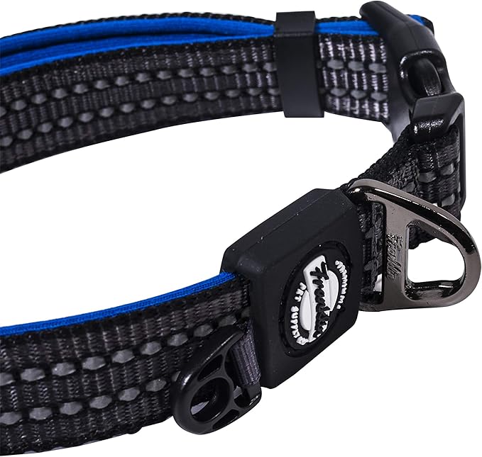 Nylon Dog Collar – Reflective – Franklin Pet Supply Co™ – Comfort Fit – Neoprene – Adjustable – Small – Blue
