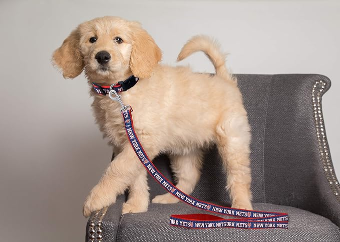 MLB PET Leash, Small, New York Mets Dog Leash, Shiny & Colorful Baseball Team Leash for Dogs & Cats Licensed by the MLB