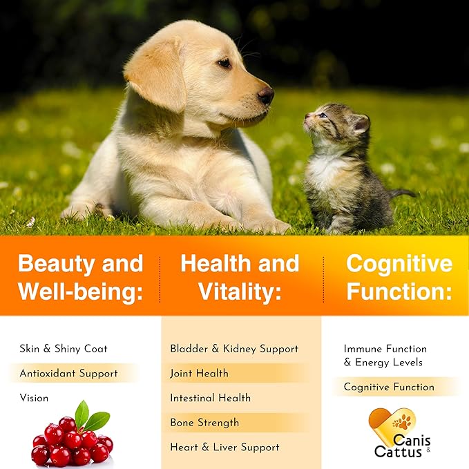 Multivitamin for Dogs & Cats | Multivitamin for Dogs | Cat Multivitamin | Dog Vitamin | Cat Vitamin | Pet Vitamin | Vitamins for Cats | Liquid Dog Vitamins | Liquid Cat Vitamins | 2 Oz