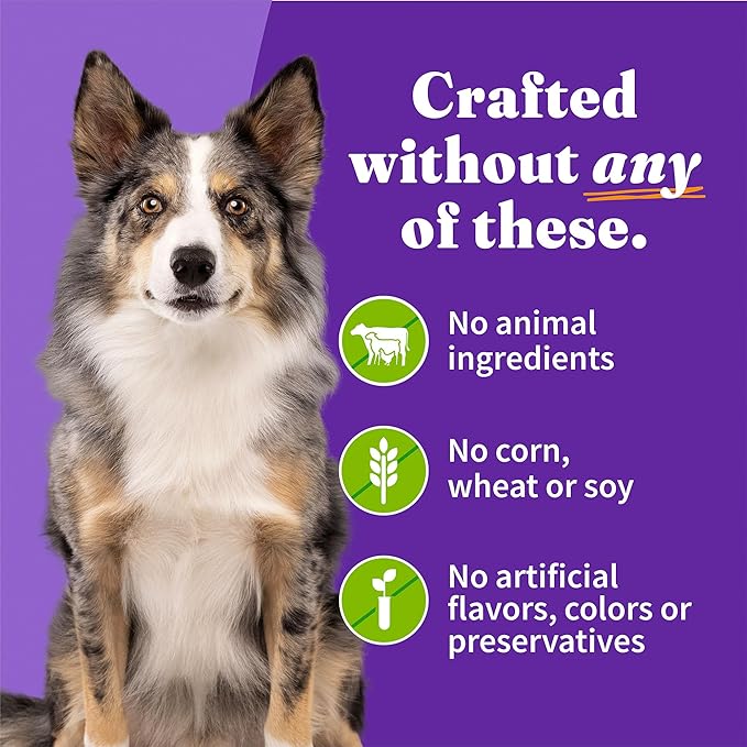 Halo Garden of Vegan Adult Wet Dog Food, Plant-Based, 13oz Can (Pack of 12)