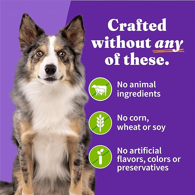Halo Garden of Vegan Adult Wet Dog Food, Plant-Based, 5.5oz Can (Pack of 12)