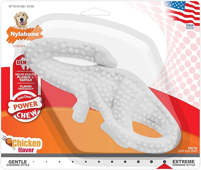 Nylabone Power Chew Dental Chew Toy Durable Dinosaur Dog Toy, Chicken Flavor, Large/Giant (1 Count)