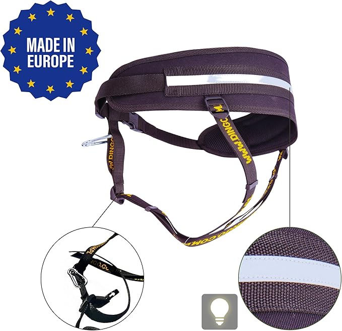 Dingo hands free leash belt for dog walking running hiking, training leash for large dog, bungee leash for medium dog, comfortable adjustable belt for walking with small dog, handle with o-ring Z30004
