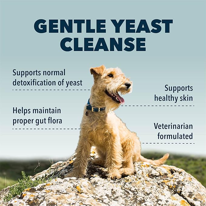 Yeast Guard - Dog Gut Health Probiotics Support Powder - Organic Herbs for Flora and Immune Support - 7 to 60 Day Supply, Depending on Dog’s Weight - Vet Formulated - for All Breeds