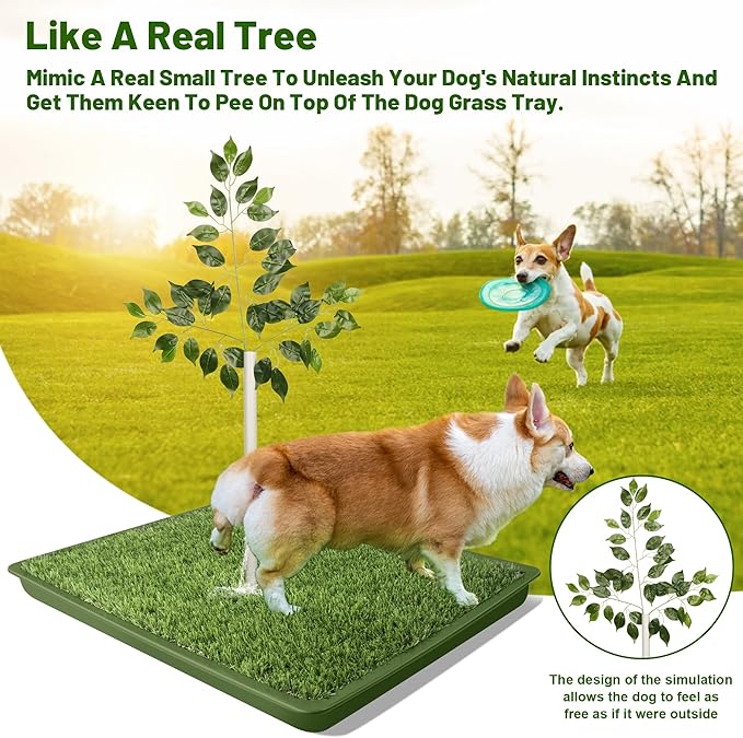 Dog Grass Pad with Tray - 2 Pack Replaceable Artificial Grass Puppy Training Pad(No Clips), Quick Absorbent Indoor Portable Potty, Washable Pee Pad for Puppy - Pet Training Solution Green