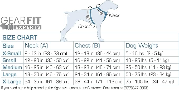 Kurgo Tru-Fit Smart Harness, Dog Harness, Pet Walking Harness, Quick Release Buckles, Front D-Ring for No Pull Training, includes Dog Seat Belt Tether (Grey, Small)
