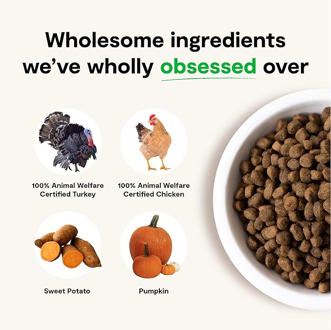 Open Farm Senior Grain-Free Dry Dog Food, Certified Humane Poultry Recipe for Older Dogs with Non-GMO Superfoods and No Artificial Flavors or Preservatives, 22 lbs