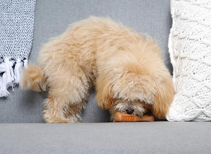 Hartz Chew ‘n Clean Chew Toy and Treat in One Chicken Flavored Drumstick Dog Toy, Extra Small
