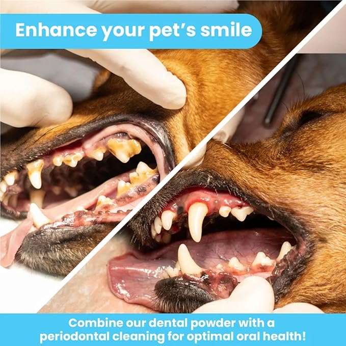 Pawtitas Natural Dog Toothpaste Powder Prevents Tartar Plaque Gum Disease Bad Breath a Natural Pet Dental Care and breath freshener for Dogs 4 OZ Bottle