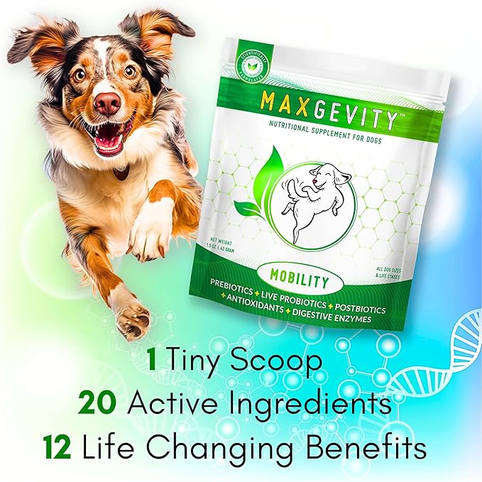 MAXGEVITY Mobility, Hip & Joint Support Meal Topper with Glucosamine & Green Lipped Mussels, Live Probiotics, Pre & Postbiotics, Digestive Enzymes, and Antioxidants | Up to 180 Day Supply.