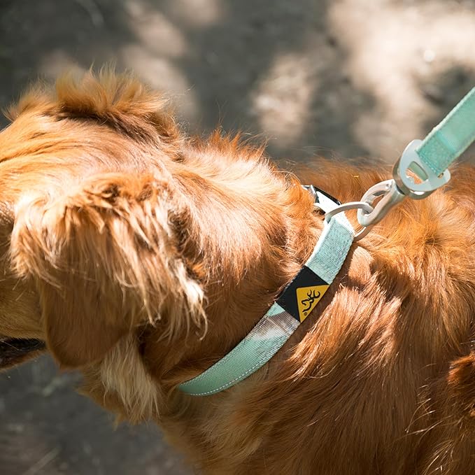 Browning Classic Preformance Webbing Pet Collar, Fully Adjustable, Available in Solid Colors and Camo Patterns, Realtree Xtra Seaglass, Large