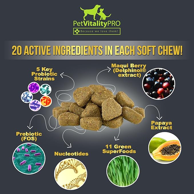 Probiotics for Dogs with Natural Digestive Enzymes ● 4 Bill CFUs/2 Soft Chews ● Dog Diarrhea Upset Stomach Yeast Gas Bad Breath Immunity Allergies Skin Itching Hot Spots ● 60 Count