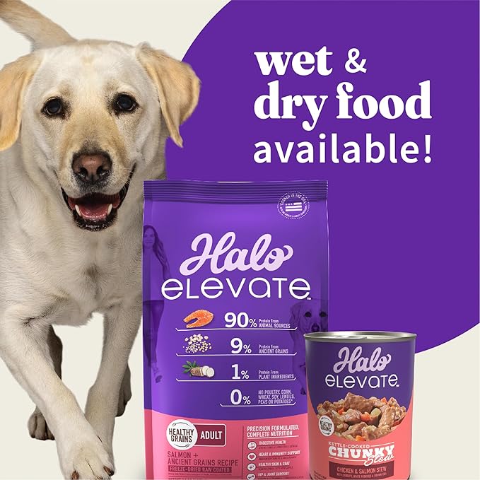 Halo Elevate Wet Dog Food, Kettle Cooked Chunky Healthy Grains Chicken & Salmon Stew with Carrots, White Potatoes and Brown Rice, 12.7oz (Pack of 6)