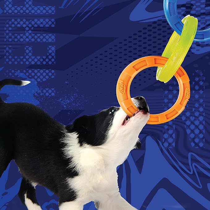Nerf Dog 10.5in Rubber 3-Ring Tug Dog Toy, Lightweight, Durable and Water Resistant, Single Unit, Blue/Green/Orange