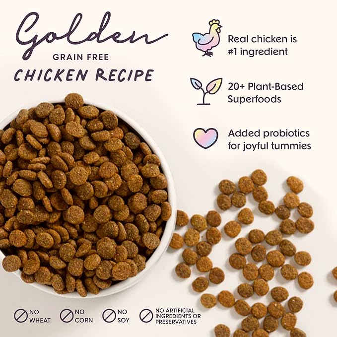 Golden Probiotic Dog Food Dry, Chicken, 4lb Bag, Natural Grain Free Adult Kibble for Digestive Health Made with Real Chicken, 20 Plant Based Superfoods, Corn, Poultry & Soy Free