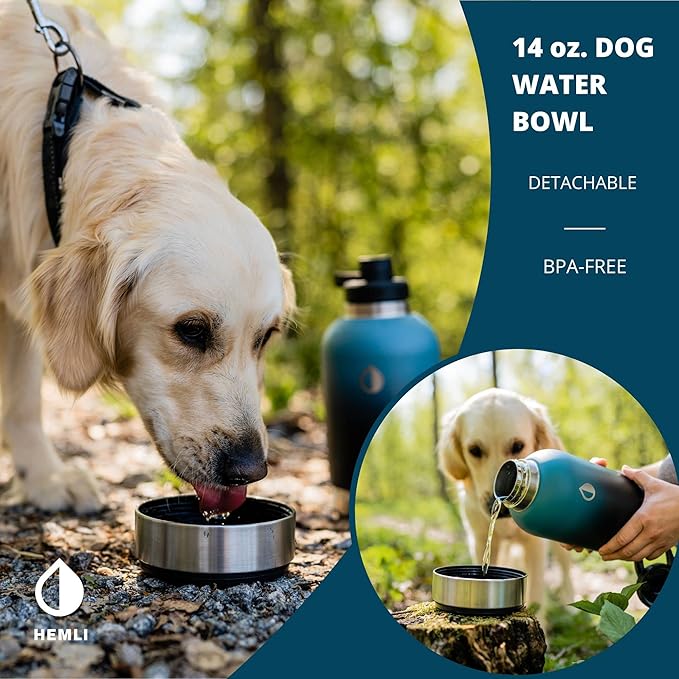 Dog Water Bottle, Insulated Dog Travel Water Bottle, Stainless Steel Pet Water Bottle Dispenser Portable Food and Water Bowl for Dogs with Carrying Case for Walking Dog Canteen Travel Kit