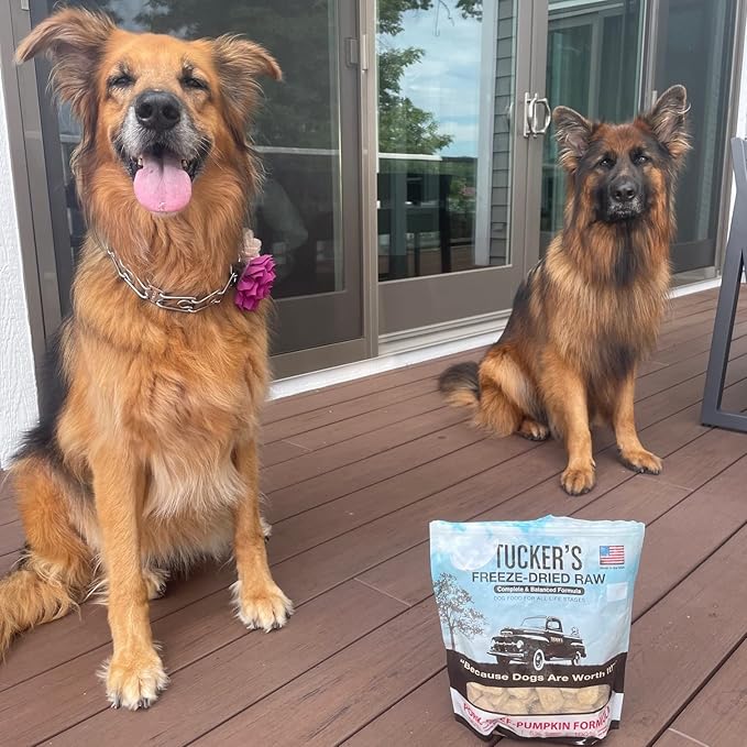 Tucker's Raw Frozen Freeze Dried Raw Dog Food, Pork, Beef & Pumpkin Formula 14oz