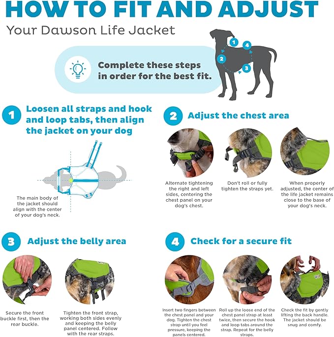 Outward Hound Dawson Swim Green Dog Life Jacket, XS
