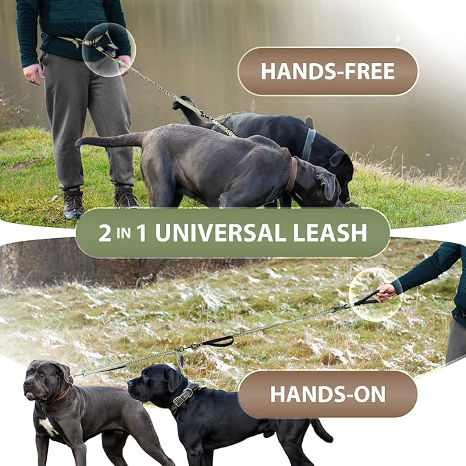 SparklyPets Hands Free Double Dog Leash – Dual Dog Leash for Medium and Large Dogs – Dog Leash for 2 Dogs with Padded Handles, Reflective Stitches, No Pull, Tangle Free (Green Range, for 2 Dogs)