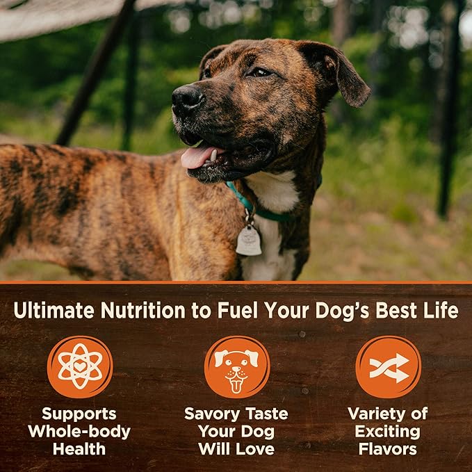 Wellness CORE Hearty Cuts Natural Wet Grain Free Canned Dog Food, Chicken & Turkey, 12.5-Ounce Can (Pack of 12)