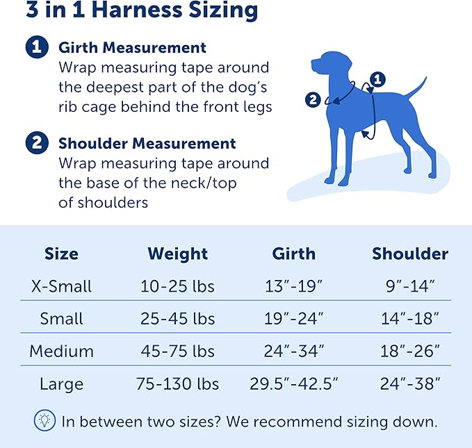 PetSafe 3 in 1 Dog Harness - No Pull Solution for Dogs - Reflective Dog Harness - Front D-Ring Clip Helps Stop Pulling - Comfortable Padded Straps - Top Handle Enhances Control - Teal - Small