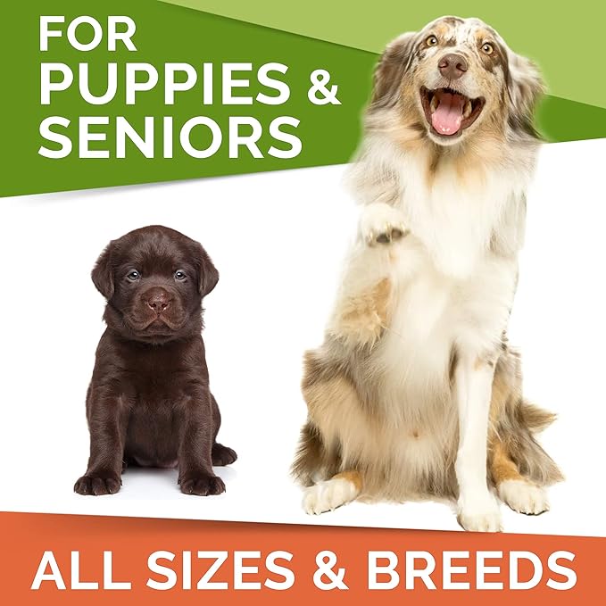 Fish Oil Omega 3 for Dogs - Allergy Relief - Joint Health - Itch Relief, Shedding - Skin and Coat Supplement - Alaskan Salmon Oil Chews - Omega 3 6 9 - EPA & DHA Fatty Acids