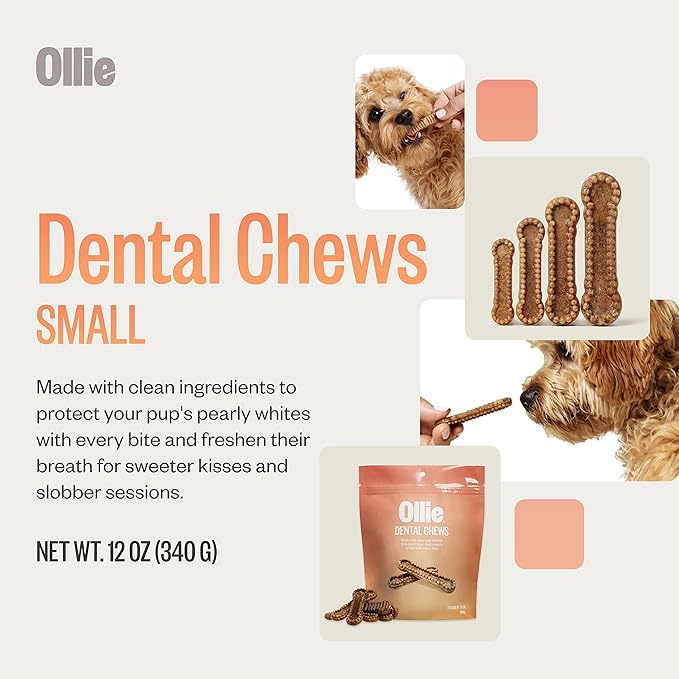 Ollie Dental Chews for Dogs Small - Dog Breath Treats - Dog Teeth Cleaning Treat -Dental Sticks for Dogs - Fresh Breath for Dogs - Dental Treats for Dogs - Dog Dental Care - 12 Oz.
