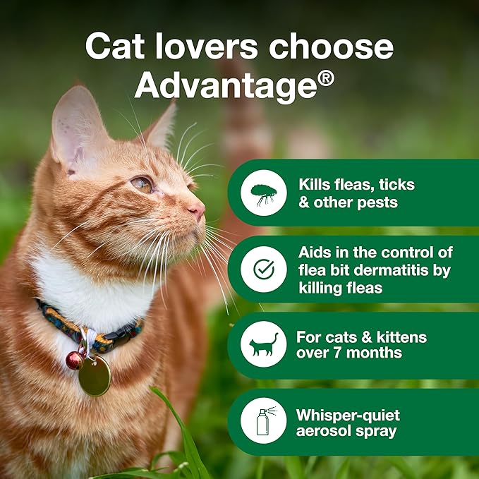 Advantage Cat Flea Treatment Spray | Kills Fleas & Ticks | Cat Flea Spray | 8 oz.