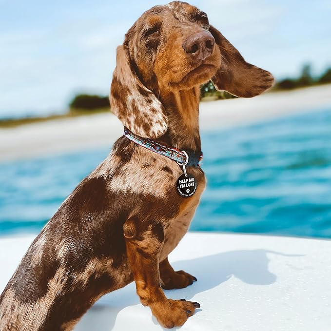 MYLUCKYTAG Stainless Steel QR Code Pet ID Tags Dog Tags - Pet Online Profile - Scan QR Receive Instant Pet Location Alert Email