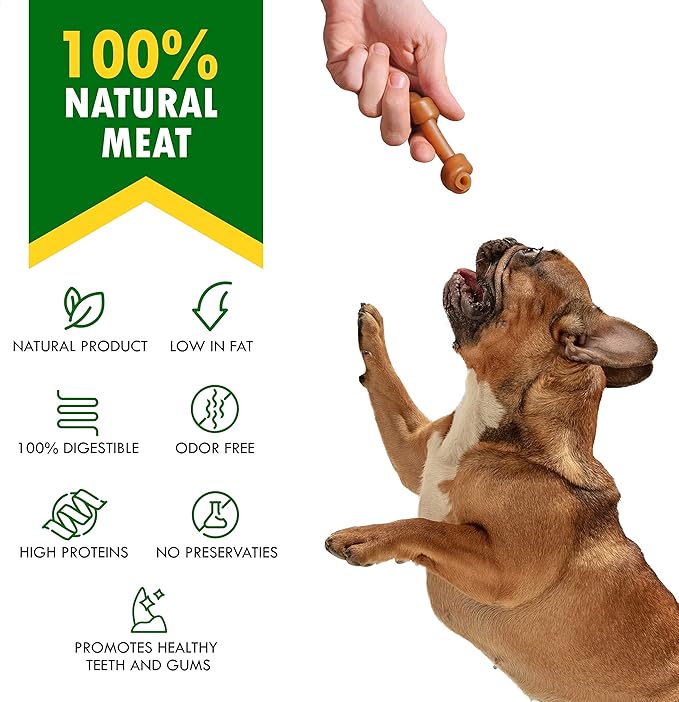 Dog Peanut Butter Bones with Cranberry & Rawhide Free Chew Treats - Pet Natural Mini & Big Snacks Healthy Collagen & Bulk Best Chews for Small & Large Dogs - Made for USA (Peanut Butter)