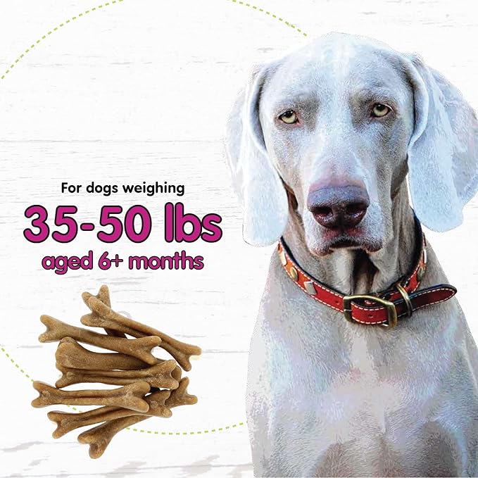Belly Bones for Dogs, 8 Yogurt Flavor Medium Dog Dental Treats (Made in USA) - 8 Count Dog Treats for Medium Dogs - Plaque and Tartar Control for Fresh Breath, Digestive Health Support