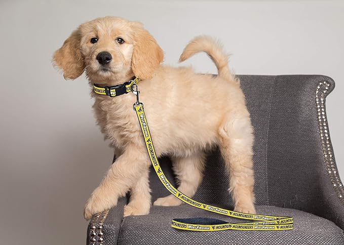 Pets First Collegiate Pet Accessories, Dog Leash, West Virginia Mountaineers, Small
