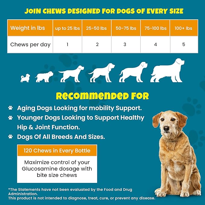 PawMedica Glucosamine for Dogs, Hip & Joint Care Chews for Dogs, Joint Support for Dog Joint Supplements with Hemp Mobility for Dogs, Senior Dog Joint Supplement Large Breed - 120 Dog Hemp Chews