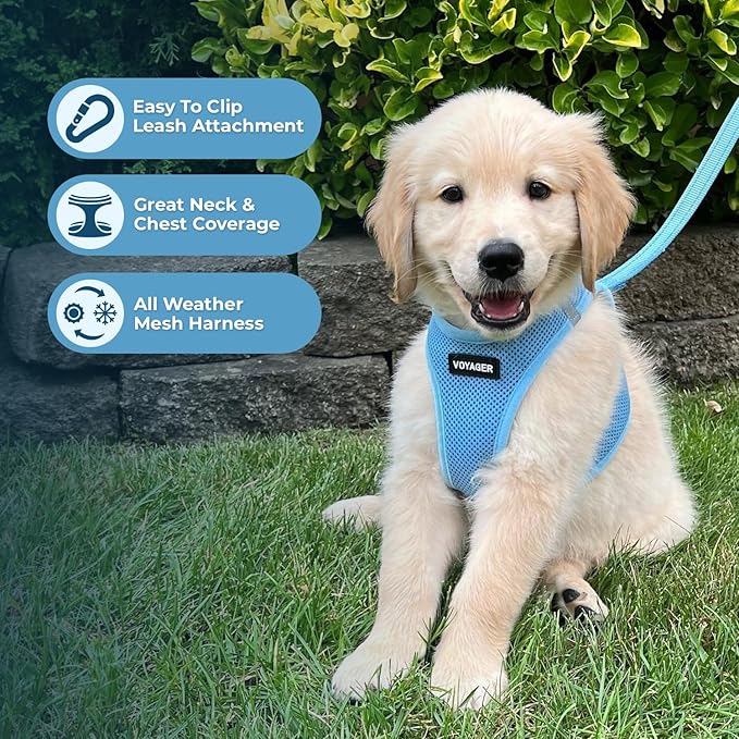 Voyager Step-in Air Dog Harness - All Weather Mesh Step in Vest Harness for Small and Medium Dogs and Cats by Best Pet Supplies - Harness (Baby Blue), XXX-Small