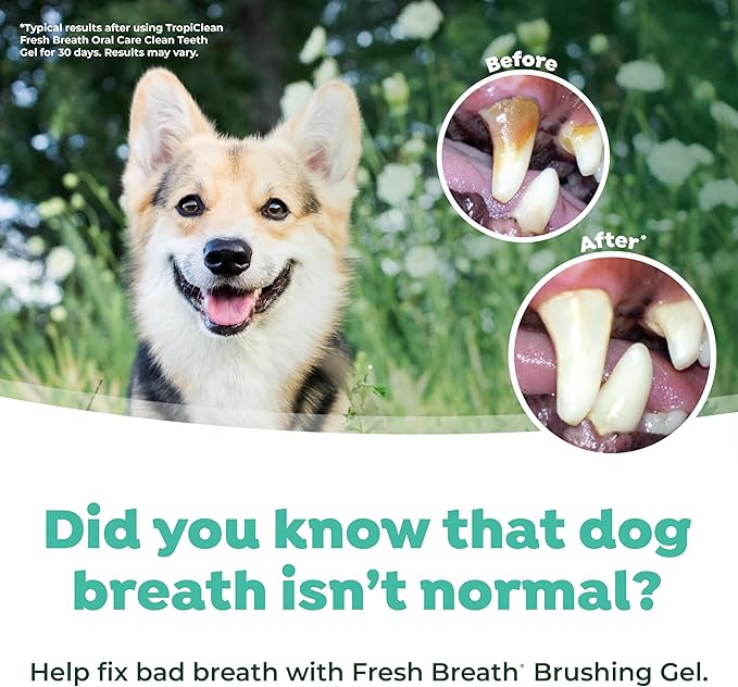 TropiClean Fresh Breath Toothbrush Kit for Small & Medium Dogs | Dog Toothbrush Kit to Fix Stinky Dog Breath | Easy to Use Plaque & Tartar Remover Kit