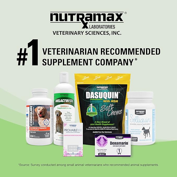 Nutramax Denosyl Liver and Brain Health Supplement for Large Dogs, With S-Adenosylmethionine (SAMe), 30 Tablets