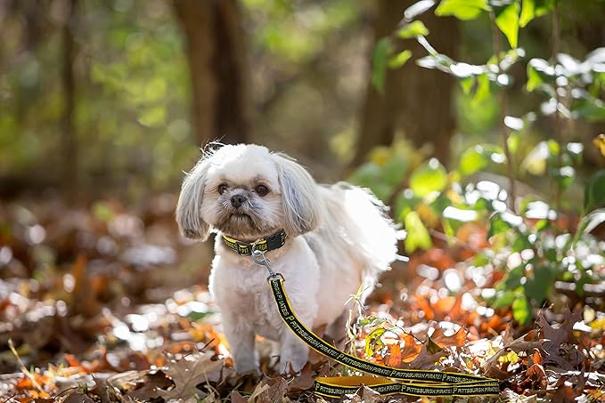 MLB PET Leash, Small, Pittsburgh Pirates Dog Leash, Baseball Team Leash for Dogs & Cats. A Shiny & Colorful Dog & Cat Leash with Emboridered Team Name/Logo Licensed by the MLB