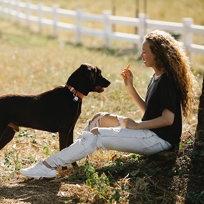 Dog Treats Chicken Wrapped Sweet Potato Fries with Taurine, Gluten Free Grain Free Training Snacks for Small Medium Large Dogs, Skinless Sweet Potato Stripes & Chicken Bites Chewy