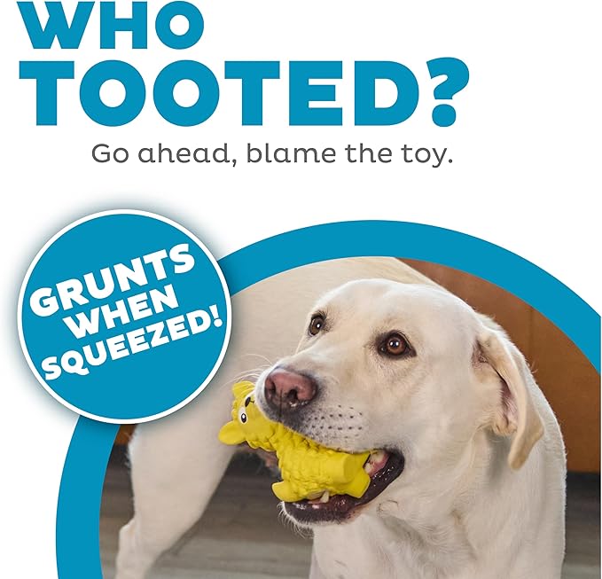 Outward Hound Tootiez Llama Grunting Latex Rubber Dog Toy, Large, Yellow