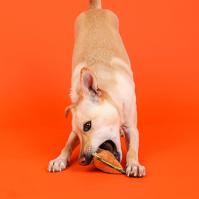 Outward Hound Xtreme Seamz Lion Squeaky Dog Toy - Reinforced Dense Stuffing Plush Toy