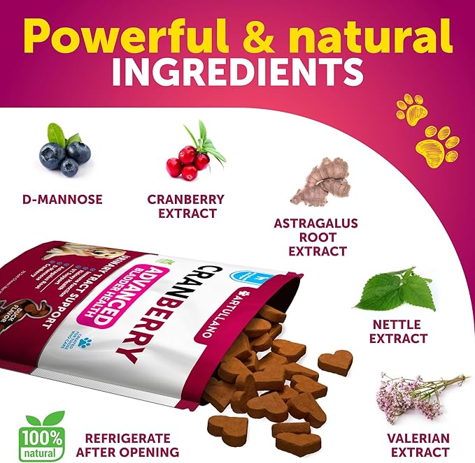 Dog UTI Treatment - Cranberry Supplement for Dogs - Bladder Control for Dogs - Dog Urinary Tract Infection Treatment - UTI Medicine for Dogs - Dog Cranberry Supplement - Kidney Support - 70 Chews