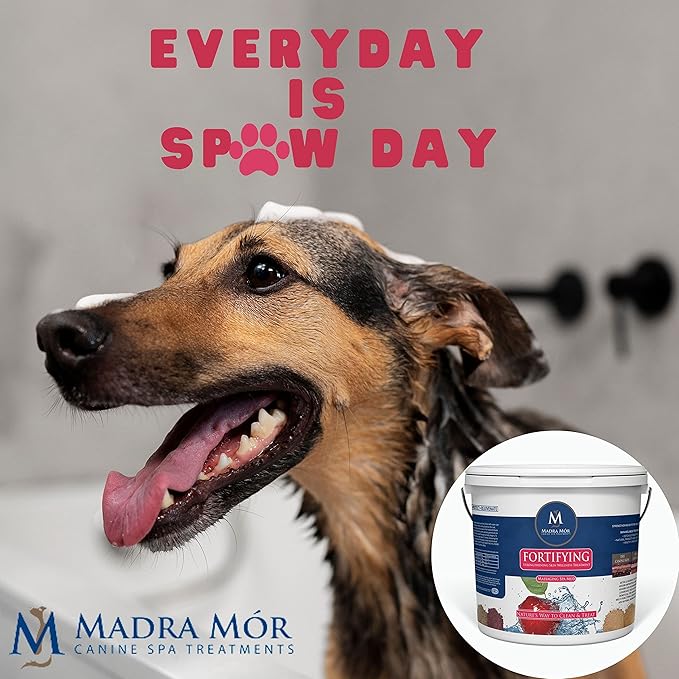 Madra Mor Dog Essentials Fortifying Spa Mud | Dog Wash | Dog Grooming | Dry Skin for Dogs Treatment | Dog Bath | Dog Coat Skin Care Products | 7.5lb Pail w Worldwide Nutrition Multi Purpose Key Chain