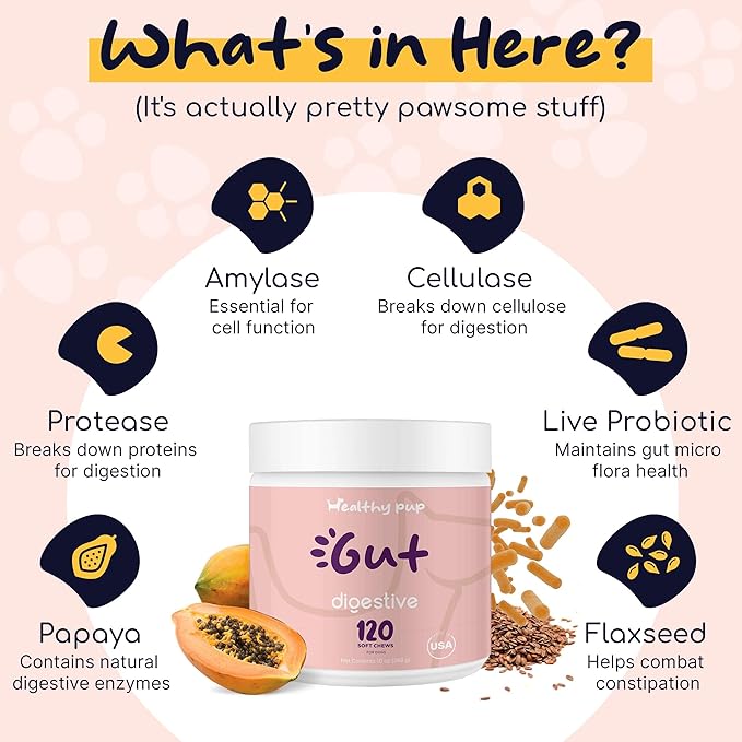 Dog Probiotics and Digestive Enzymes, 120 Delicious Chew Treats for Gut Health, Diarrhea, and Constipation - Hydrolyzes Nutrients for Better Absorption