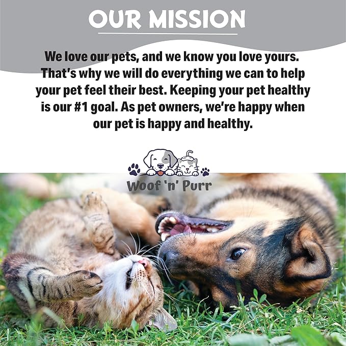 Zinc for Dogs - Dog Zinc Supplement - Helps to Support Healthy Skin, Coat, Immune Health & More - Dog Zinc - Dog Skin and Coat Supplement - Skin and Coat Supplement for Dogs - 1 fl oz - Bacon Flavor