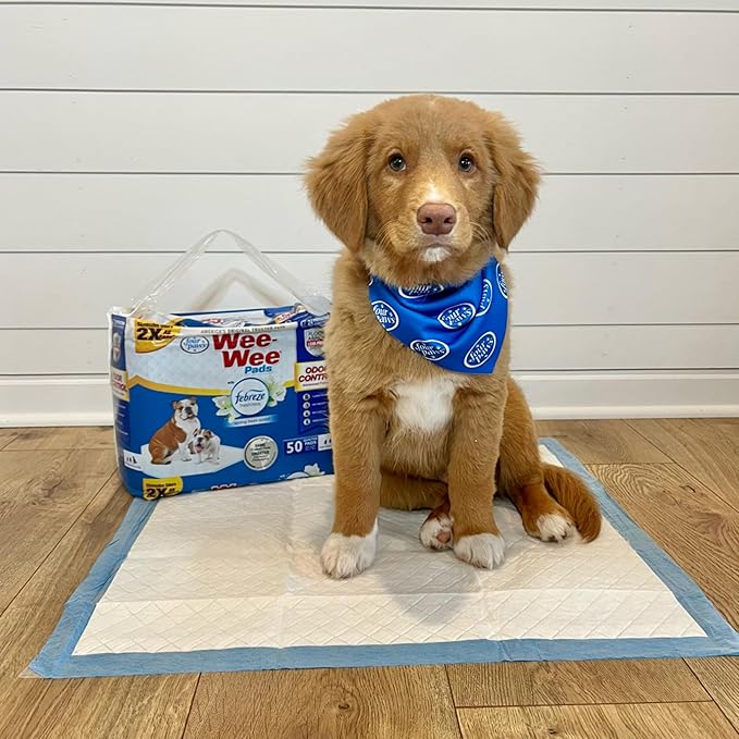 Four Paws Wee-Wee Odor Control with Febreze Freshness Pee Pads for Dogs of All Sizes, Leak-Proof Floor Protection Dog & Puppy Quilted Potty Training Pads, Spring Fresh Scent, 22" x 23" (150 Count)