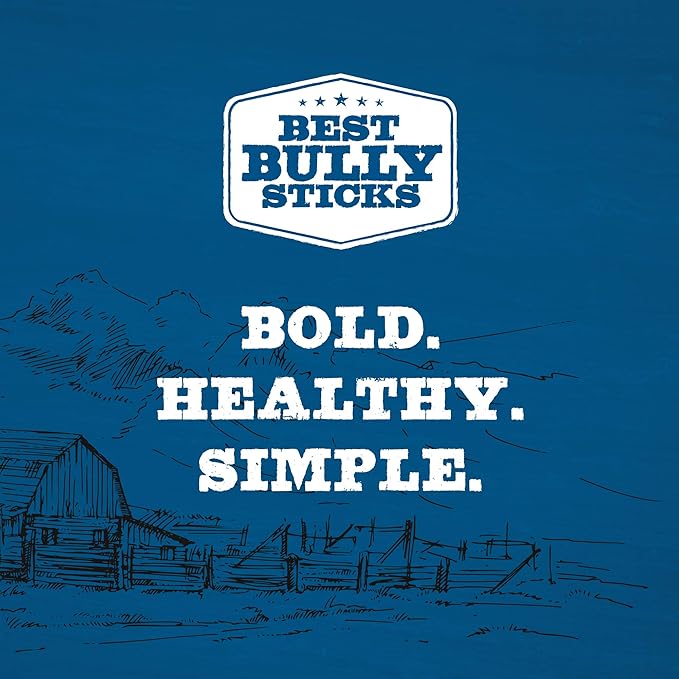 Best Bully Sticks Jumbo Smoked Beef Shin Bones (3 Pack) - Free-Range, All-Natural, & Grass-Fed Beef Dog Chews
