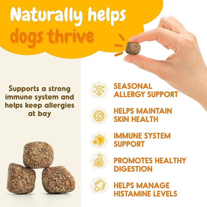Dog Allergy Chews – 120 Soft Chews for Dog Allergy Relief – Natural Vegetable Flavor Allergy Immune Supplement for Dogs – Soothing and Calming Dog Treats