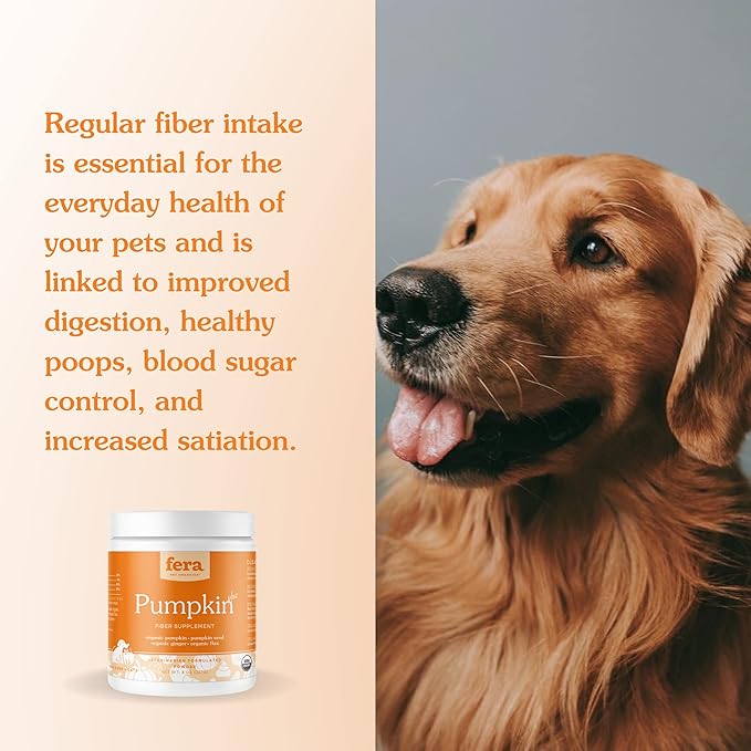 Fera Pets Pumpkin Plus Fiber Supplement for Pets - Vet Created - Dog & Cat Regularity & Gut Function - Organic Pumpkin Seeds, Flax Seeds - 90 Scoops